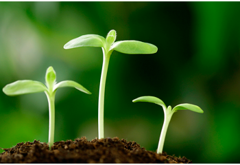 Giá trị cốt lõi